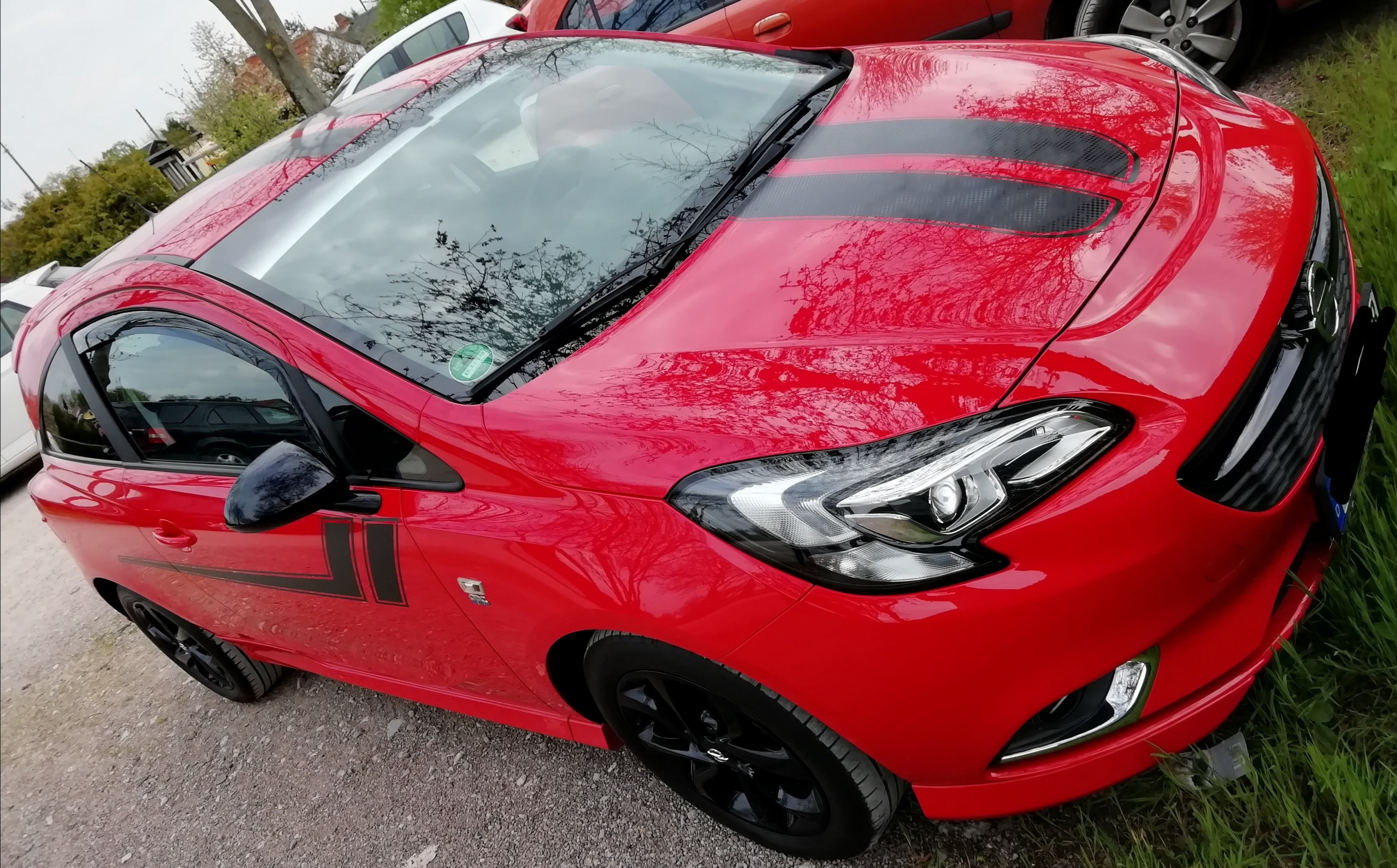 RedCorsa1